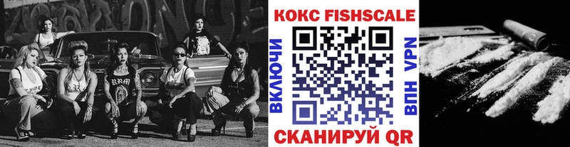 Купить  Елец  Cocaine 98% 